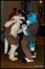 [Abrahm MFF2009 264]