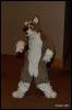 [Abrahm MFF2009 270]