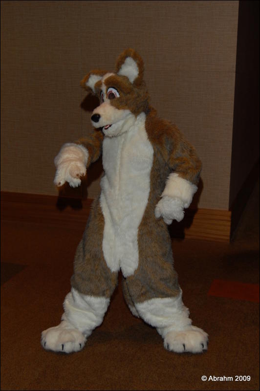 [Abrahm_MFF2009_270.jpg]