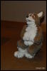 [Abrahm MFF2009 271]