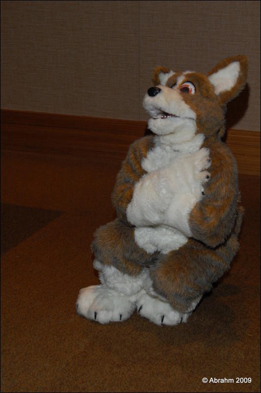 [Abrahm_MFF2009_271.jpg]