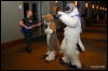 [Abrahm MFF2009 276]