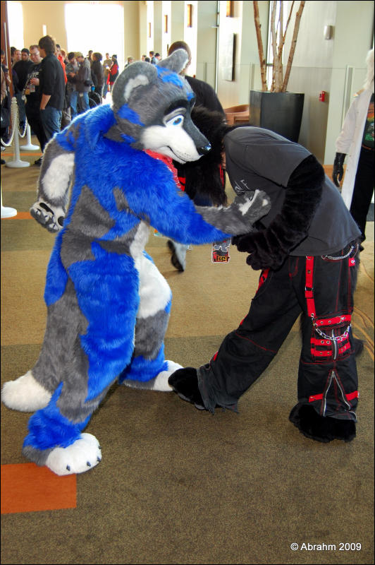 [Abrahm_MFF2009_310.jpg]