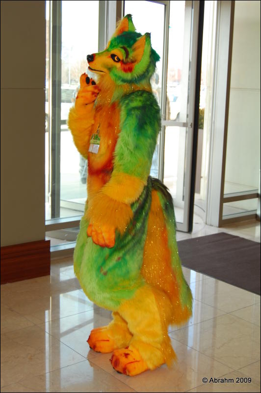 [Abrahm_MFF2009_315.jpg]