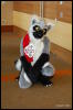 [Abrahm MFF2009 323]