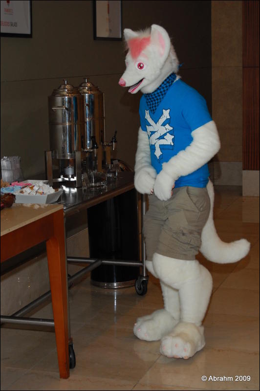 [Abrahm_MFF2009_325.jpg]