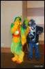 [Abrahm MFF2009 333]