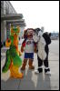 [Abrahm MFF2009 338]