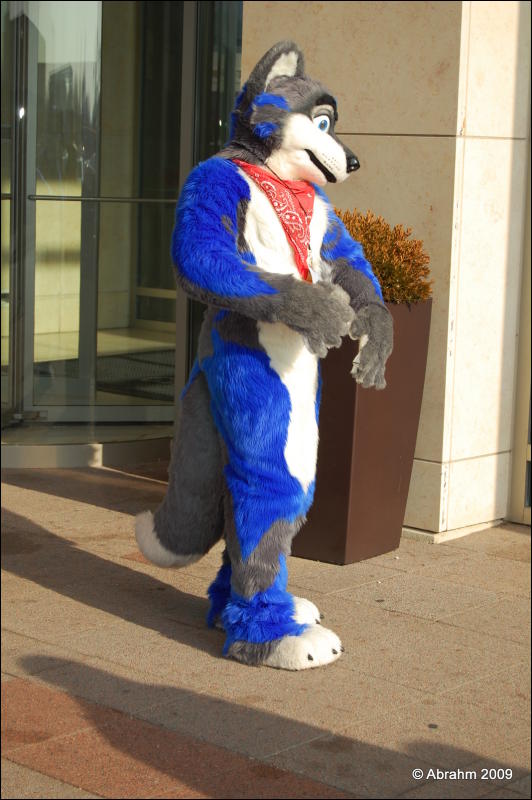 [Abrahm_MFF2009_343.jpg]