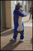 [Abrahm MFF2009 348]