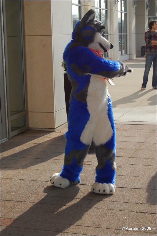 [Abrahm_MFF2009_348.jpg]