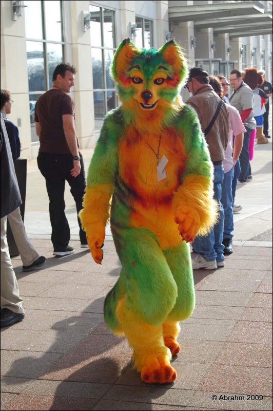 [Abrahm_MFF2009_349.jpg]