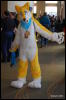 [Abrahm MFF2009 356]