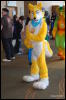 [Abrahm MFF2009 357]