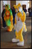 [Abrahm MFF2009 358]