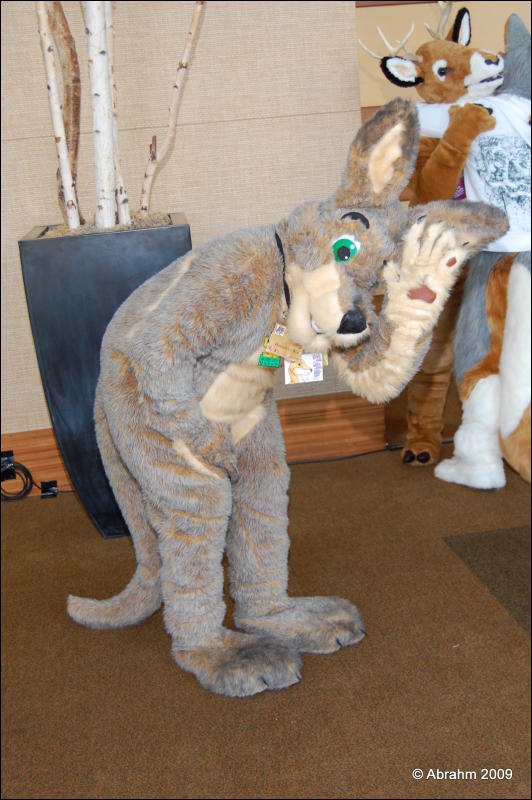 [Abrahm_MFF2009_361.jpg]