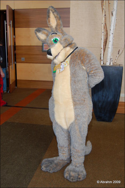 [Abrahm_MFF2009_362.jpg]