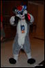 [Abrahm MFF2009 368]