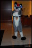 [Abrahm MFF2009 369]