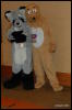 [Abrahm MFF2009 371]