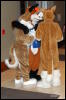 [Abrahm MFF2009 375]