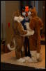 [Abrahm MFF2009 376]