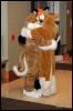 [Abrahm MFF2009 377]