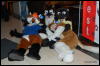 [Abrahm MFF2009 378]