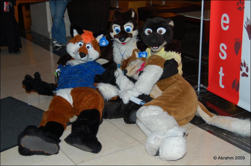 [Abrahm_MFF2009_378.jpg]