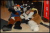 [Abrahm MFF2009 379]