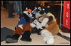 [Abrahm MFF2009 380]