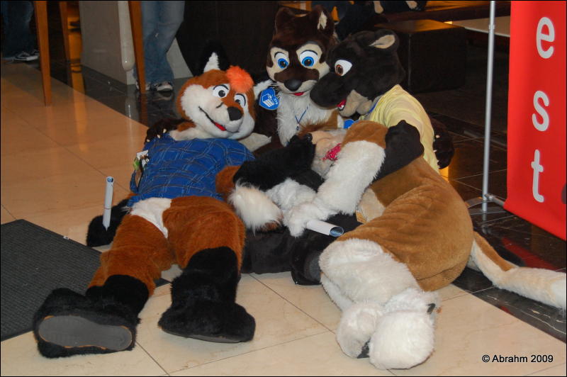 [Abrahm_MFF2009_381.jpg]