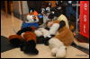 [Abrahm MFF2009 382]