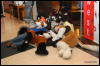 [Abrahm MFF2009 383]