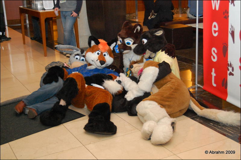 [Abrahm_MFF2009_383.jpg]