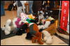 [Abrahm MFF2009 384]