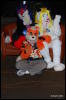 [Abrahm MFF2009 389]