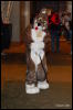 [Abrahm MFF2009 392]