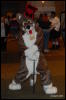 [Abrahm MFF2009 393]