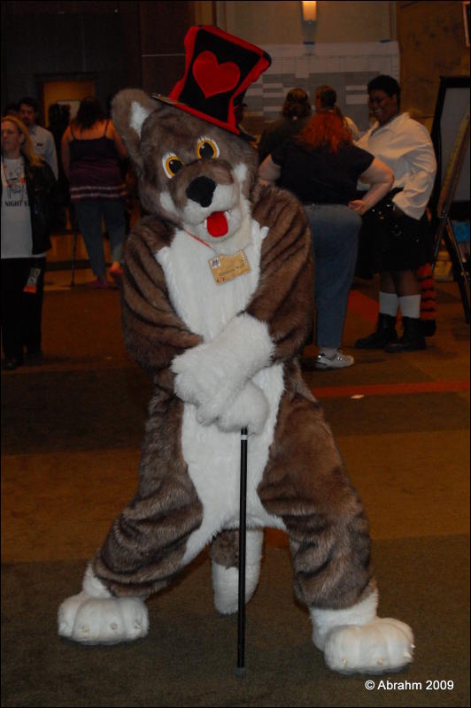 [Abrahm_MFF2009_393.jpg]