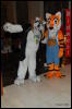 [Abrahm MFF2009 398]