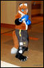 [Abrahm MFF2009 404]