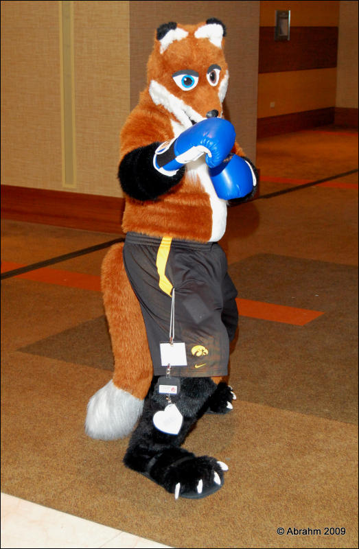 [Abrahm_MFF2009_404.jpg]