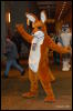 [Abrahm MFF2009 405]