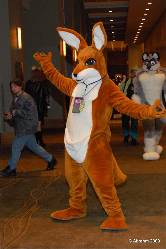 [Abrahm_MFF2009_405.jpg]