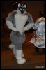 [Abrahm MFF2009 406]