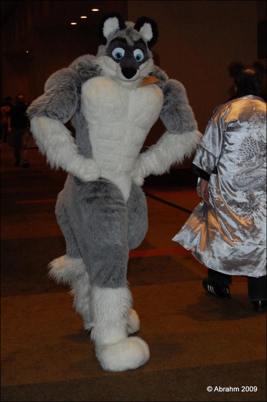 [Abrahm_MFF2009_406.jpg]