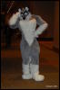 [Abrahm MFF2009 407]