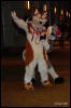 [Abrahm MFF2009 409]