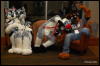 [Abrahm MFF2009 413]